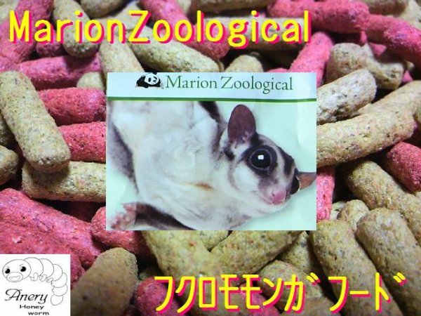 画像2: MarionZoological　フクロモモンガフード (2)
