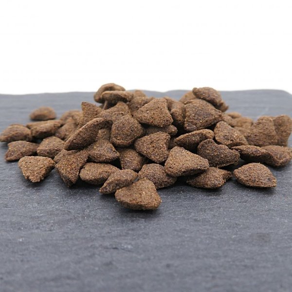 画像2: DAJANA カントリーミックス エクスクルーシブ ハリネズミフード 500g チェコ産 (2)