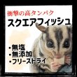 画像1: Anery スクエアフィッシュ 素材そのままフリーズドライ 無塩無糖！ (1)