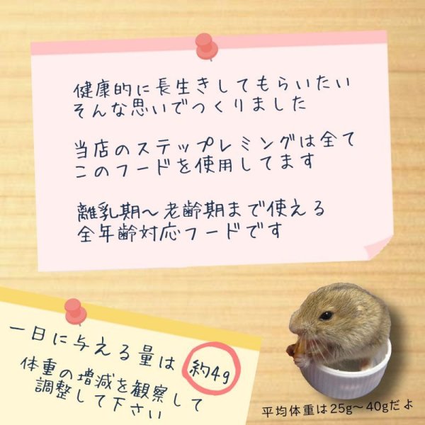 画像3: Anery ステップレミングの主食　元気で長生き！当店オリジナルブレンド (3)